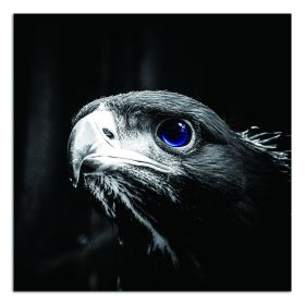 Oppidan Home &quot;Focused Eagle&quot; Acrylic Wall Art (40&quot;H x 40&quot;W)