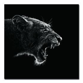 Oppidan Home &quot;Roaring Lioness&quot; Acrylic Wall Art (40&quot;H x 40&quot;W)