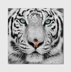 Oppidan Home &quot;Snow Tiger&quot; Acrylic Wall Art (40&quot;H X 40&quot;W)