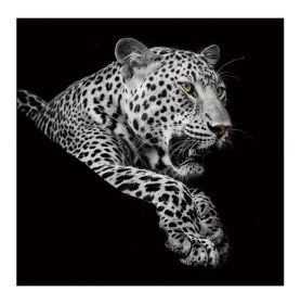 Oppidan Home &quot;Leopard in Black and White&quot; Acrylic Wall Art (40&quot;H X 40&quot;W)