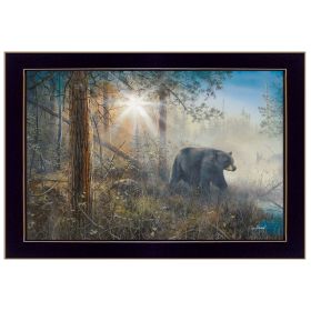 "Shadow in the Mist" By Jim Hansen; Printed Wall Art; Ready To Hang Framed Poster; Black Frame