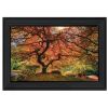 "First Colors of Fall I" by Moises Levy; Ready to Hang Framed Print; Black Frame