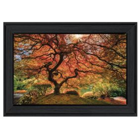 "First Colors of Fall I" by Moises Levy; Ready to Hang Framed Print; Black Frame