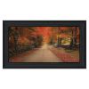 "October Lane" By Robin-Lee Vieira; Printed Wall Art; Ready To Hang Framed Poster; Black Frame