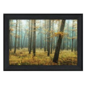 "Holterberg in the Mist" By Martin Podt; Printed Wall Art; Ready To Hang Framed Poster; Black Frame