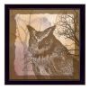 "Owl" By Barb Tourtillotte; Printed Wall Art; Ready To Hang Framed Poster; Black Frame