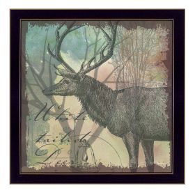 "Deer" By Barb Tourtillotte; Printed Wall Art; Ready To Hang Framed Poster; Black Frame