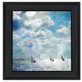 "Sailing White Waters" by Bluebird Barn Group; Ready to Hang Framed Print; Black Frame