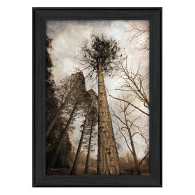 "Sky's the Limit" By Robin-Lee Vieira; Printed Wall Art; Ready To Hang Framed Poster; Black Frame