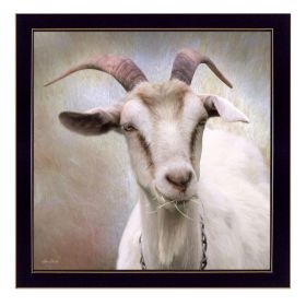 "Up Close Goat" By Lori Deiter; Printed Wall Art; Ready To Hang Framed Poster; Black Frame