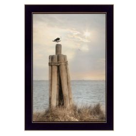 "Birds Eye View" By Lori Deiter; Printed Wall Art; Ready To Hang Framed Poster; Black Frame