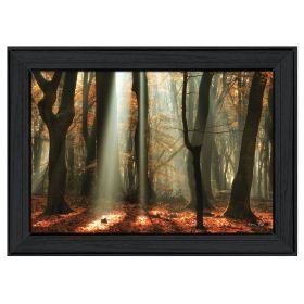 "Beam Me Up" By Martin Podt; Printed Wall Art; Ready To Hang Framed Poster; Black Frame