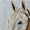 Hand Painted Horse Wooden Wall Art Decor; Multicolor