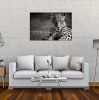 Oppidan Home &quot;Spotted Leopard in Black and White&quot; Acrylic Wall Art (32&quot;H x 48&quot;W)