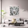 Oppidan Home &quot;Snow Tiger&quot; Acrylic Wall Art (40&quot;H X 40&quot;W)