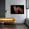 Oppidan Home &quot;Horses Caressing&quot; Acrylic Wall Art (32&quot;H X 48&quot;W)