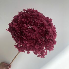 DIY Living Room Table Decoration Decoration Decoration Yongsheng Flower (Option: Color Absorbing Rose Red-20 25cm)