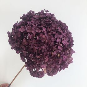 DIY Living Room Table Decoration Decoration Decoration Yongsheng Flower (Option: Color Absorbing Purple-20 25cm)