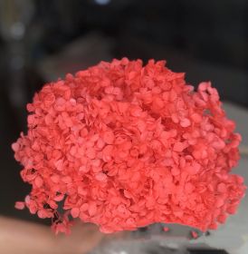 DIY Living Room Table Decoration Decoration Decoration Yongsheng Flower (Option: Watermelon Red-20 25cm)