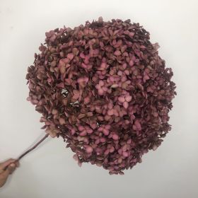 DIY Living Room Table Decoration Decoration Decoration Yongsheng Flower (Option: Color Absorbing Pink Purple-20 25cm)