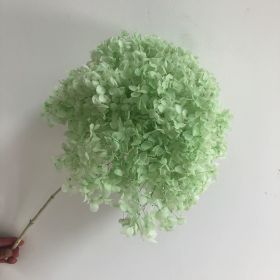 DIY Living Room Table Decoration Decoration Decoration Yongsheng Flower (Option: Fruit Green-20 25cm)