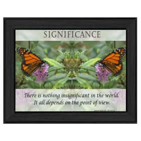 "Significance" By Trendy Decor4U; Printed Wall Art; Ready To Hang Framed Poster; Black Frame (Color: as Pic)