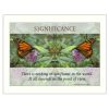 "Significance" By Trendy Decor4U; Printed Wall Art; Ready To Hang Framed Poster; White Frame